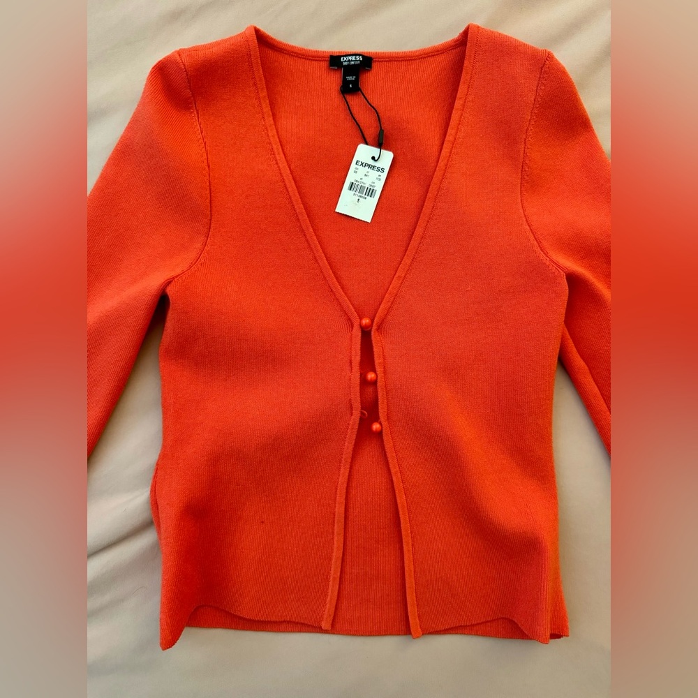 Express Open Body Sweater